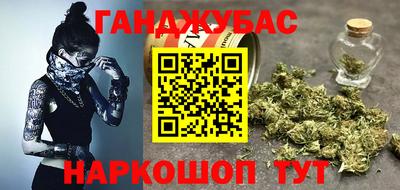 сатива Гатчина