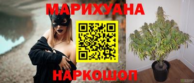 гидропоника Гагарин