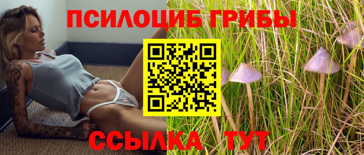 Псилоцибиновые грибы мухоморы Канск