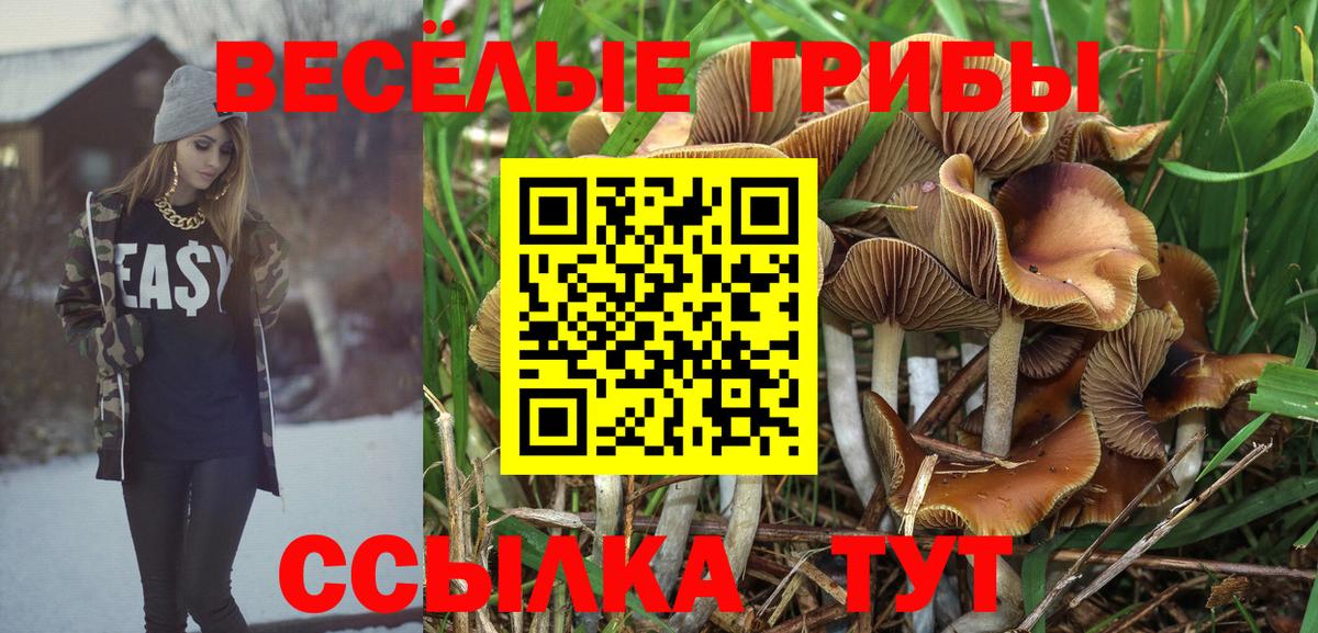 Канск  Галлюциногенные грибы прущие грибы  Вход с VPN  Галлюциногенные грибы мицелий 